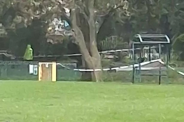 Man killed by falling tree branch as gusts in UK reach up to 78mph during weather warning