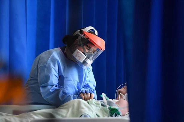 Health experts call for ban to prevent pandemics after first-ever 'reverse zoonosis' case
