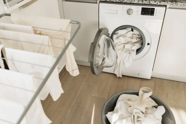 Top signs you have 'your life in order' - pristine cupboards to emails under control