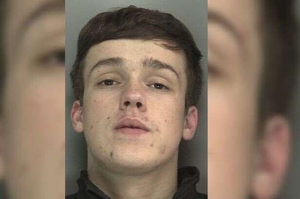 Teen's rage over Timmy the dachshund puppy lands him in jail after neck snap threats