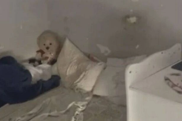 Sick parents locked six-year-old in room for her whole life and fed horrifying diet