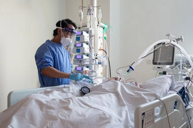 UK flu and pneumonia deaths now ten times those from Covid