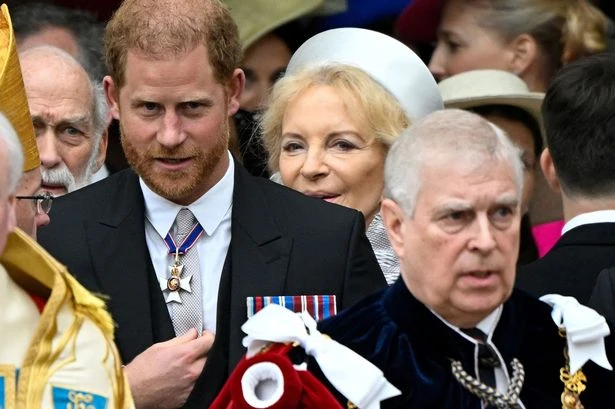 Prince Harry issues statement on 'physical fight' with Prince Andrew claims