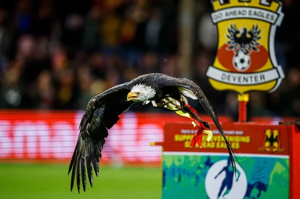 Who are Go Ahead Eagles? Aston Villa's Dutch opponents with tiny stadium and wild mascot