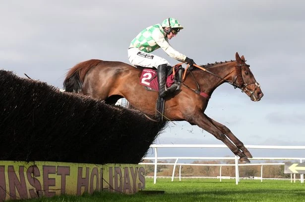 Full statement as horse that collapsed in Grand National dies after jockey suspended
