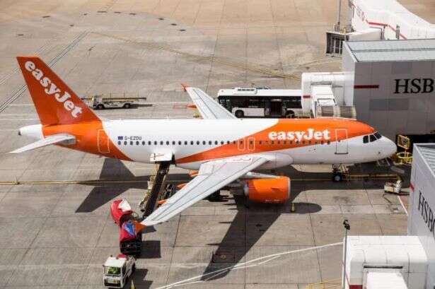 Easyjet passenger fined £48 despite his bag being 'correct size'