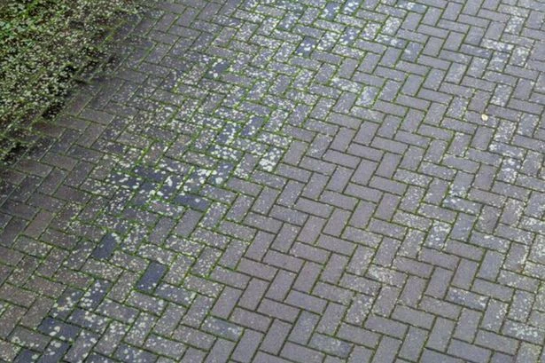 Drivers who have driveways urged to install 'substantial gate' as 'epidemic' hits UK