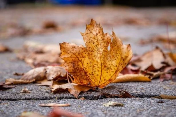 Drivers getting 'caught out' with October driving mistake and £5,000 fine