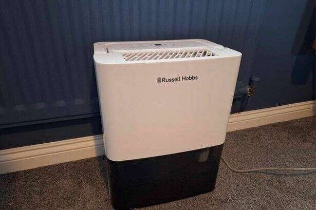 'I love with my dehumidifier - it's a game-changer for banishing mould and now at a lower price'