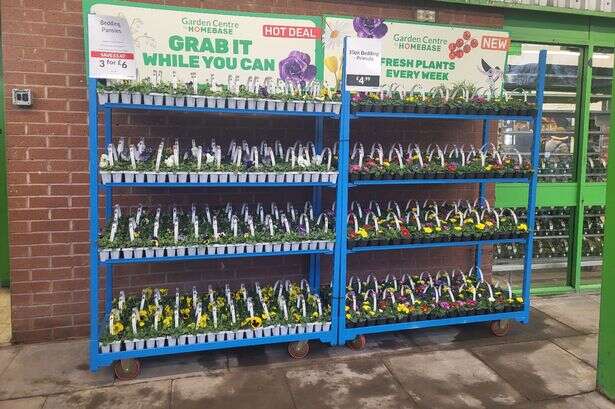 New garden centre replacing Homebase opens in Birmingham with 'fresh plants every week'