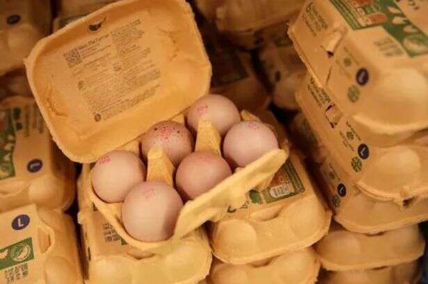 UK households who buy eggs at supermarket handed free £96 for one change