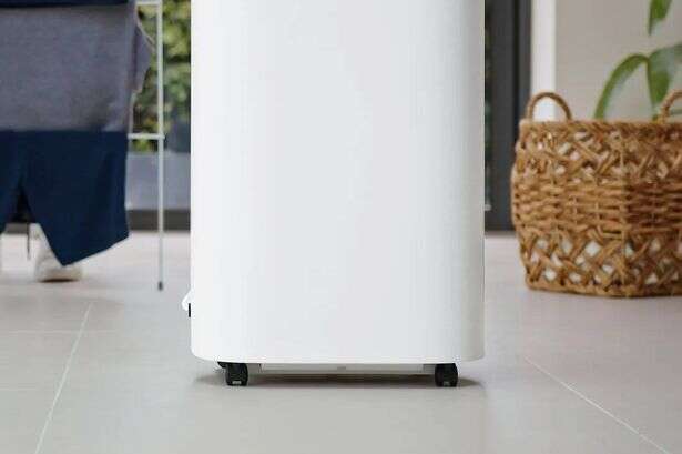 Dehumidifier has saved shoppers from using the tumble dryer - and it's on sale