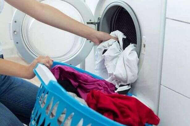 UK households who own a tumble dryer being handed free £35 each