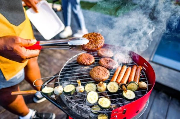 Mum risks sister-in-law's wrath by 'banning therapy dog' from family BBQ
