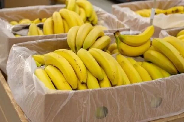 Tesco brings in change for shoppers taking bananas to till in UK supermarkets