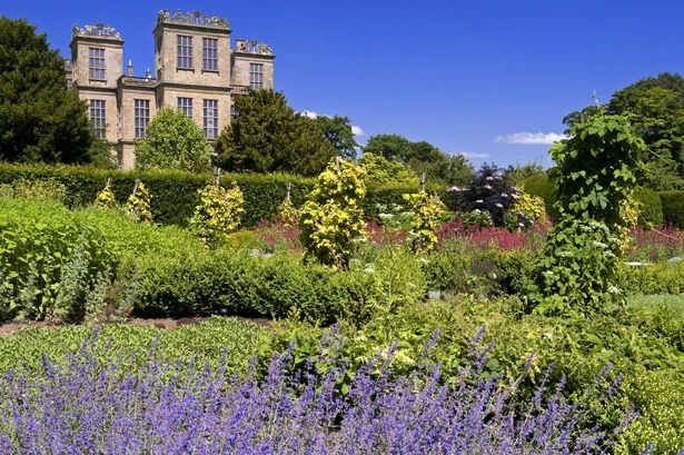 'Beautiful and unique' National Trust spot a day trip from Birmingham with stunning summer walks