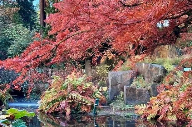 The 'wholesome' Birmingham family market surrounded by autumnal beauty