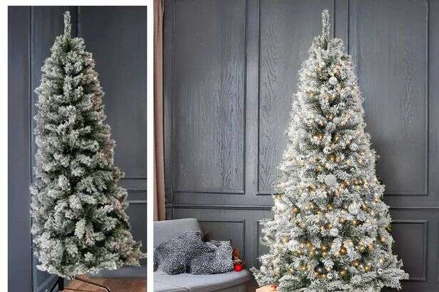 Debenhams halves price of 'stunning' Christmas tree to under £70 and it is 'ideal for smaller homes'