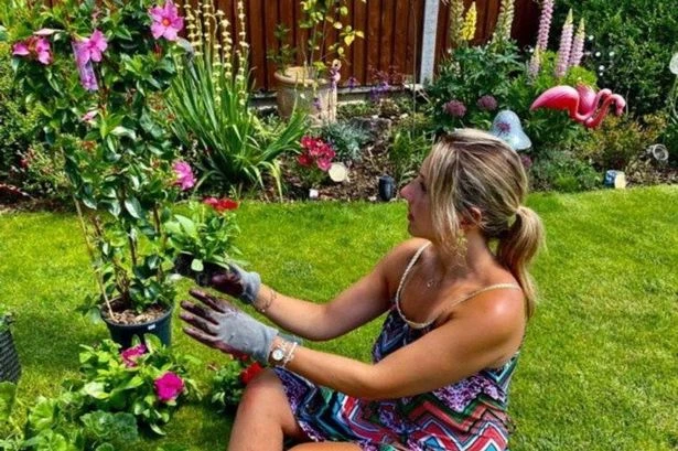 Gardener shares five ways she saves £300-a-year on plants