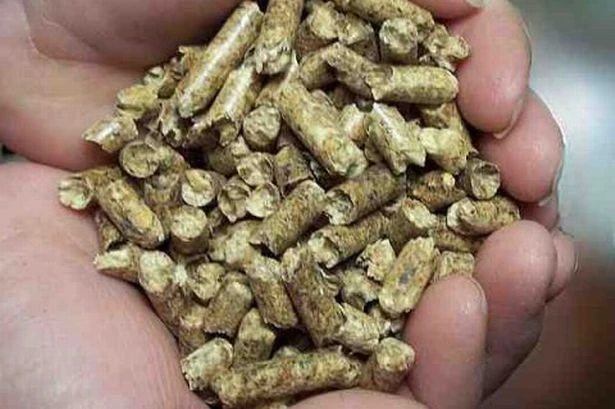 Solihull council reviews new energy system after 'extortionate' bill complaints