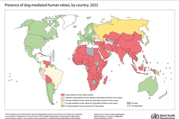 Rabies hotspots: Where you're most likely to be infected with deadly disease
