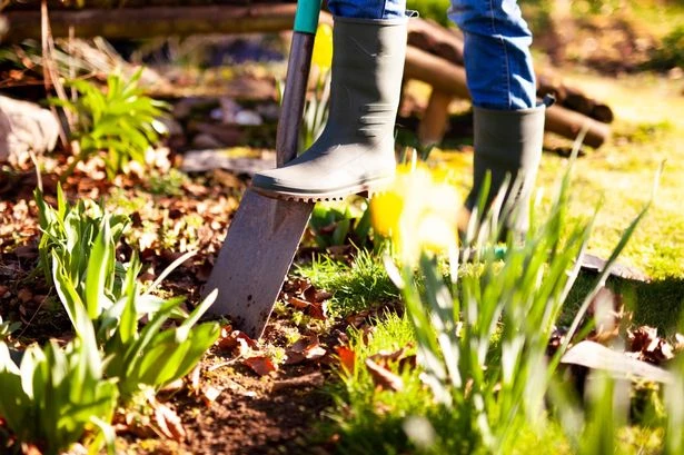 UK households with gardens 'a bit messy' face £5,000 fines after court case