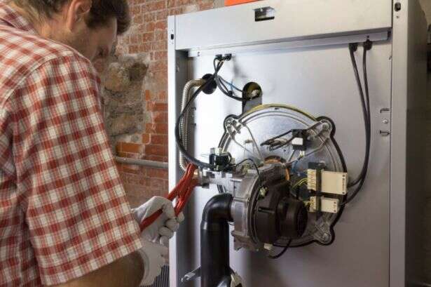 'Secret' button on boiler hands British Gas, OVO, EDF, Octopus customers free £150