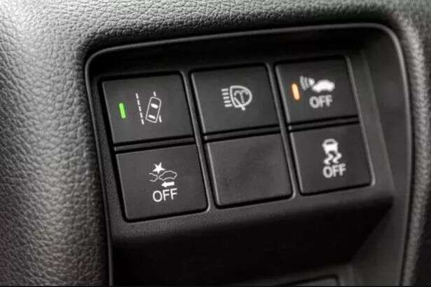 Drivers can't wait to use 'mystery' button on car door after meaning explained