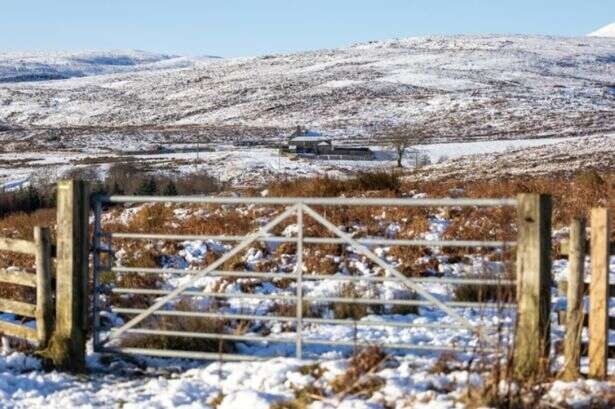 25 school closures announced on Thursday so far as UK snow storm returns