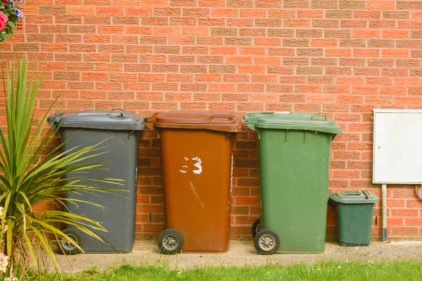 UK households face £1,000 fine for putting bins out few hours too early