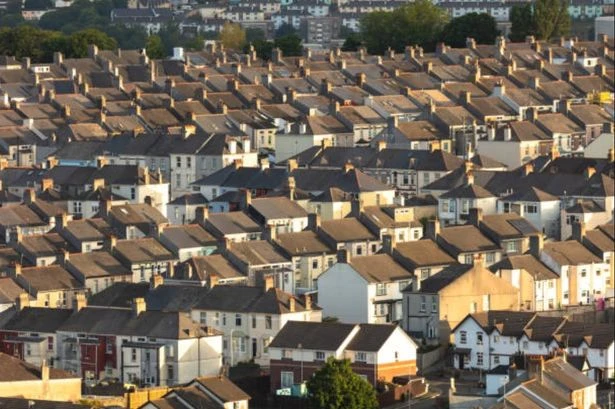 UK households warned foul epidemic will sweep England and 'there's nothing you can do'