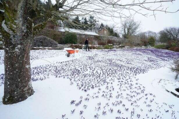 Eight counties in England set to be spared snow on Saturday AND Sunday