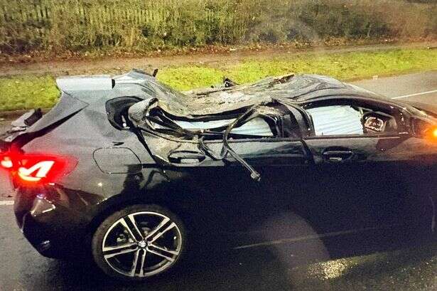 Apple watch helps dad as Storm Darragh fells tree on his car in Solihull