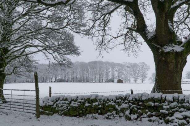 Met Office warns UK households who have snow on their driveway or path