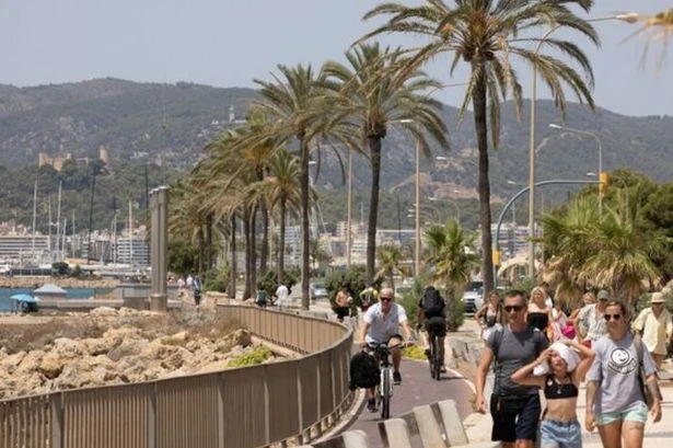 Majorca issues desperate plea to UK tourists after protests 'backfire'
