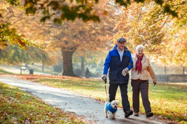 Dog owners in England warned to follow 48-hour walk rule 'until November'