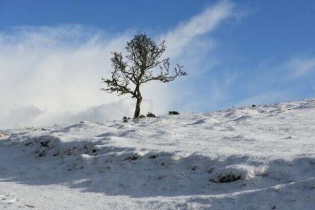 UK faces 'horror' 20cm snow blast with just 'one' part of England escaping