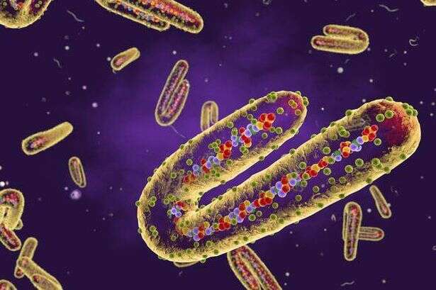 Urgent warning for travellers as 'high fatality rate' virus outbreak hits country