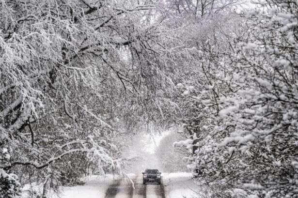 UK school closures announced for Monday after weekend snow storm