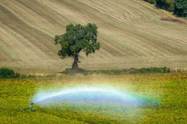 Met Office and BBC Weather have say over UK being set for 28C Indian Summer