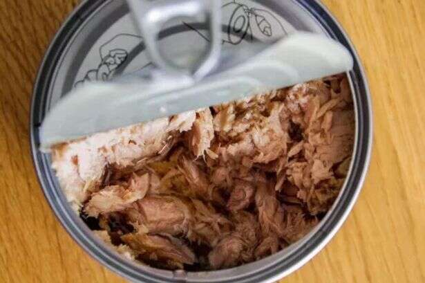 UK households who have tins of tuna in kitchen cupboard 'warned'