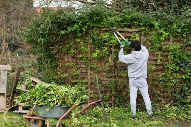 UK households with a garden face £5,000 for breaking 8pm to 8am rule