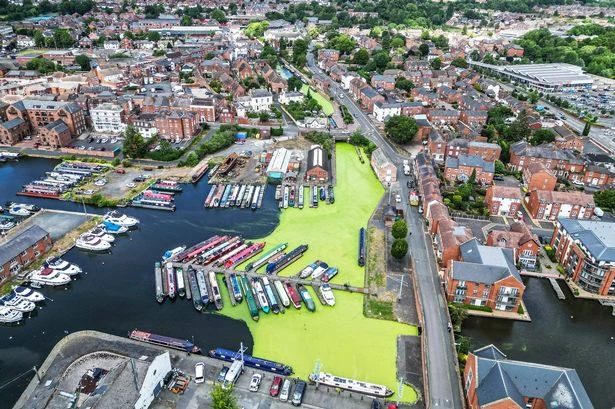 Residents fear tourists will plunge into canal that looks like 'grass'