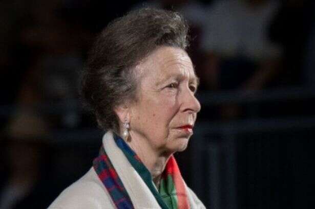 Princess Anne hospitalisation 'total mystery' and royals 'can't get to bottom of it'