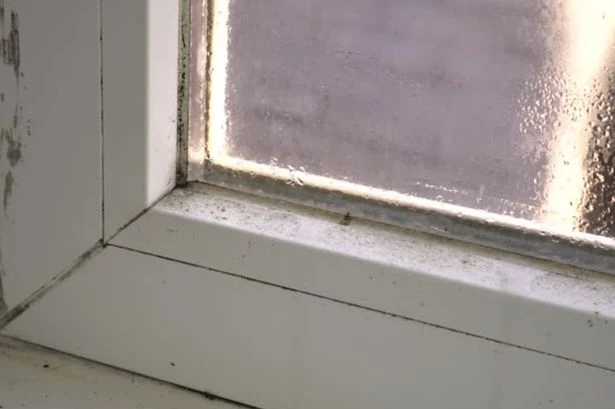 UK households urged to wipe windowsills as 'venomous' problem sweeps England