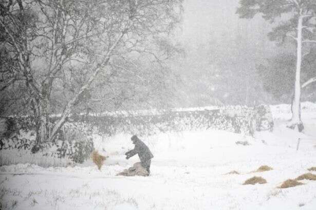 UK set for -7C snow bomb with 12 areas on course to be hammered