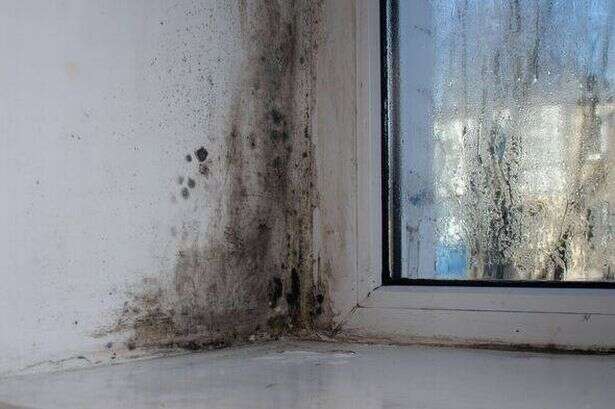 Expert warns common habit could cause mould in homes and hike up energy bills