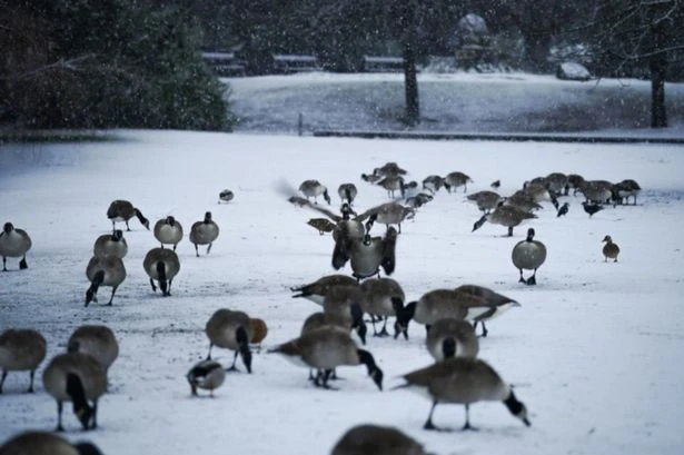 Weather maps reveal snow to hit these UK areas just days after balmy spring heat