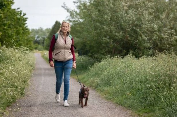 Dog owners in England must remove 'two' items from house or face £260 charge