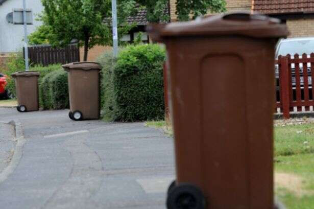 Some UK households to be given four different bins in shake-up from early March